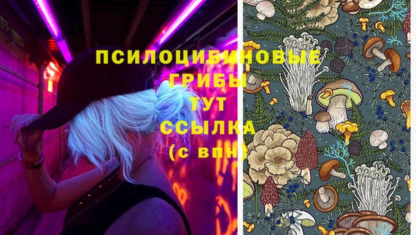 винт Армянск