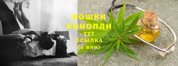 ГАЛЛЮЦИНОГЕННЫЕ ГРИБЫ Няндома